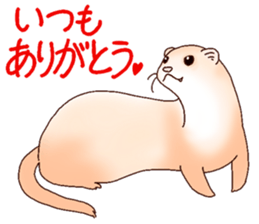 Ferret Sticker jp 3 sticker #10429018