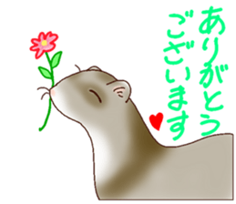 Ferret Sticker jp 3 sticker #10429019