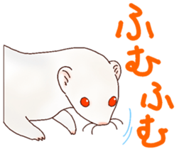 Ferret Sticker jp 3 sticker #10429023