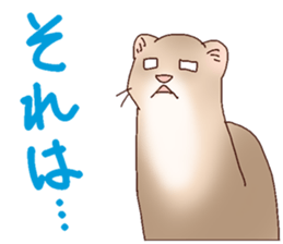 Ferret Sticker jp 3 sticker #10429024