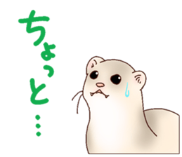 Ferret Sticker jp 3 sticker #10429025