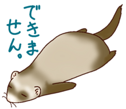 Ferret Sticker jp 3 sticker #10429028