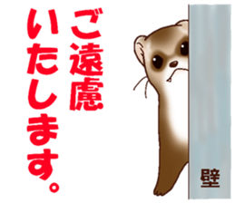 Ferret Sticker jp 3 sticker #10429029