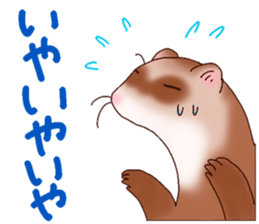 Ferret Sticker jp 3 sticker #10429030