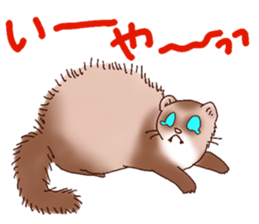 Ferret Sticker jp 3 sticker #10429031