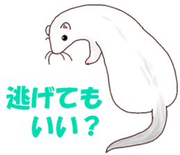 Ferret Sticker jp 3 sticker #10429032