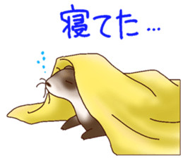 Ferret Sticker jp 3 sticker #10429038
