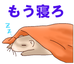 Ferret Sticker jp 3 sticker #10429039