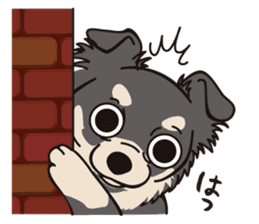 Bullbon and his cute with crazy guys.. sticker #10429729