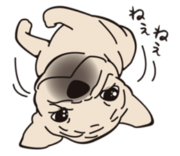 Bullbon and his cute with crazy guys.. sticker #10429756