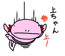 Sticker for [UE-CHANG]Axolotl sticker #10431019