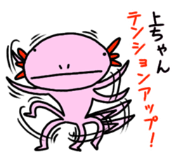 Sticker for [UE-CHANG]Axolotl sticker #10431025