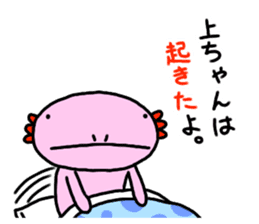 Sticker for [UE-CHANG]Axolotl sticker #10431027
