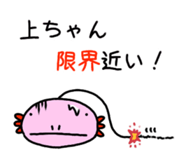 Sticker for [UE-CHANG]Axolotl sticker #10431033