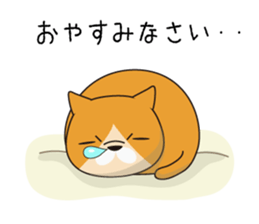 buchaiku cat Sticker sticker #10431402