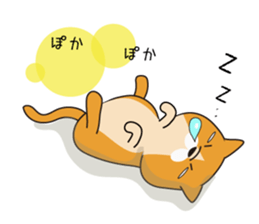 buchaiku cat Sticker sticker #10431403