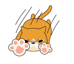 buchaiku cat Sticker sticker #10431409