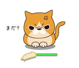 buchaiku cat Sticker sticker #10431417