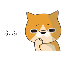 buchaiku cat Sticker sticker #10431420