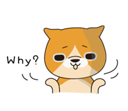 buchaiku cat Sticker sticker #10431422