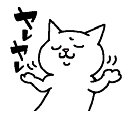 Cat staring sticker #10431776