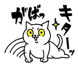 Cat staring sticker #10431779