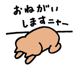 Cat's sweet-shop sticker #10433224