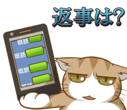 Sassy fatty cat sticker #10435246