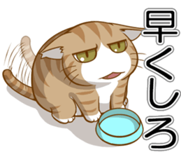 Sassy fatty cat sticker #10435253