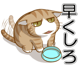 Sassy fatty cat sticker #10435253