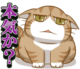 Sassy fatty cat sticker #10435254