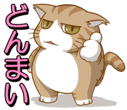 Sassy fatty cat sticker #10435262