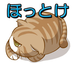 Sassy fatty cat sticker #10435263