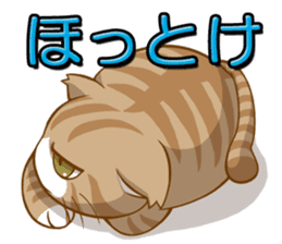 Sassy fatty cat sticker #10435263