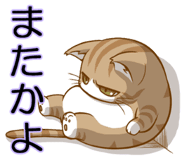 Sassy fatty cat sticker #10435271