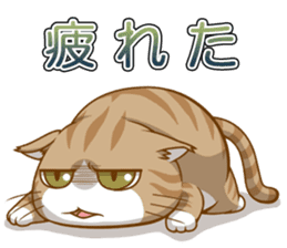 Sassy fatty cat sticker #10435272