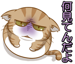 Sassy fatty cat sticker #10435278