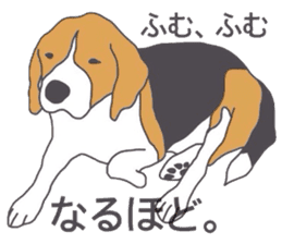 I love my beagle! 2 sticker #10435854