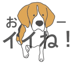 I love my beagle! 2 sticker #10435855