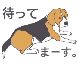 I love my beagle! 2 sticker #10435863