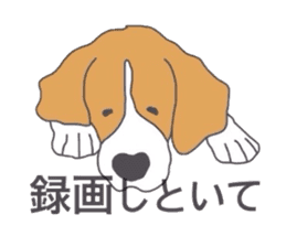I love my beagle! 2 sticker #10435878