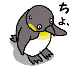 "Penco" sticker #10436281