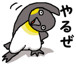 "Penco" sticker #10436283