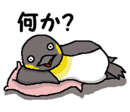 "Penco" sticker #10436291