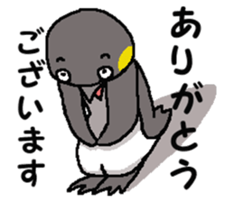 "Penco" sticker #10436299