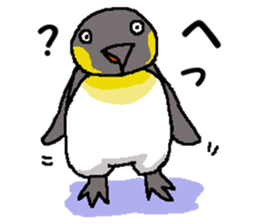 "Penco" sticker #10436306