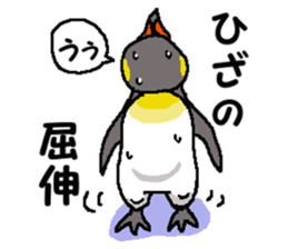 "Penco" sticker #10436314