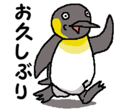 "Penco" sticker #10436317