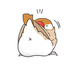 Java sparrow stickers 4 sticker #10439040
