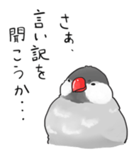 Java sparrow stickers 4 sticker #10439041
